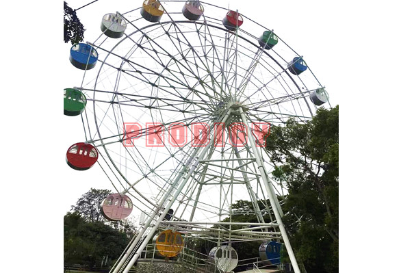 30M Ferris Wheel