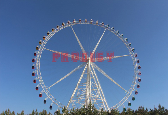 90m Ferris Wheel