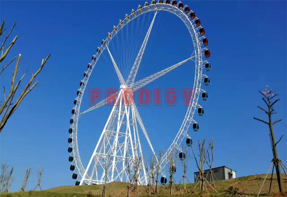 68M Ferris Wheel