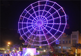 20M High Ferris Wheel