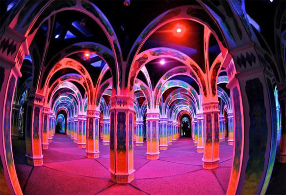 amazing mirror maze