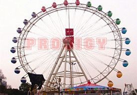 30M Ferris Wheel 