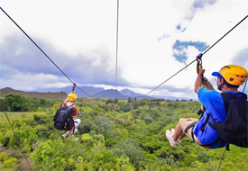 Ziplines