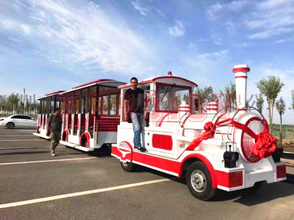 Tourist Train JX-0523