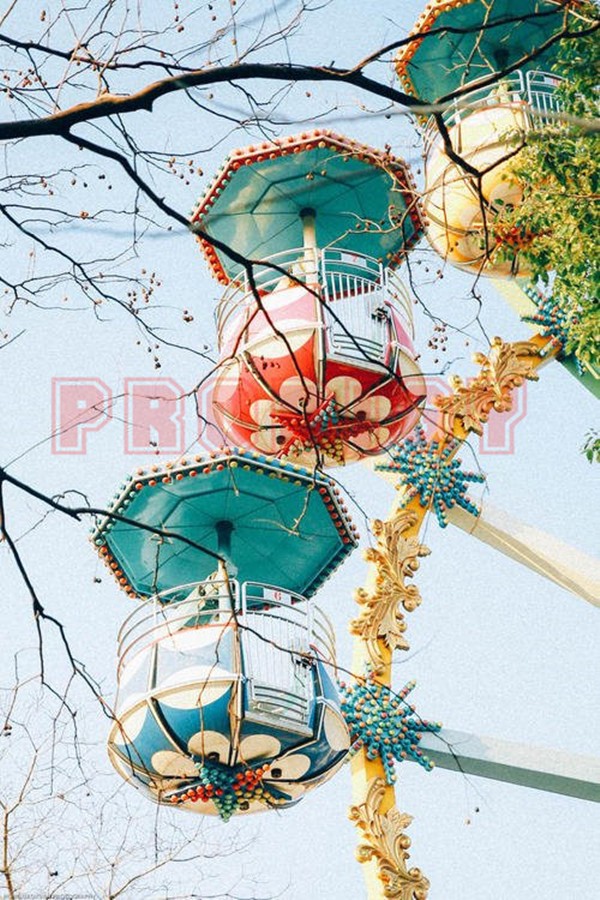 Zhengzhou Prodigy Amusement Equipment Co., Ltd.