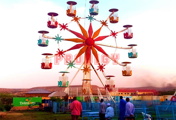 Flower Basket Ferris Wheel
