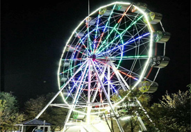 30M Ferris Wheel