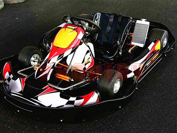 Electric Racing Go Karting Cars